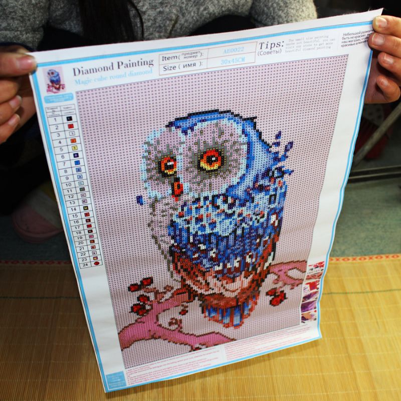 Diy Owl Full 5d Dijamantna Slika Na Zidu Viseća Poklon Za Uređenje Doma