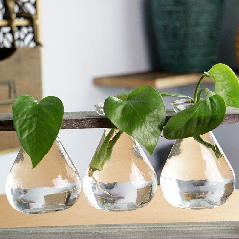 Kreativna Jednostavna Staklena Drvena Vaza Za Biljke Kućna Ukrasna Žardinjera