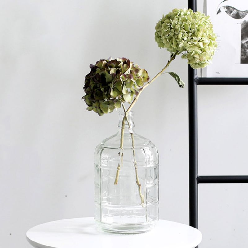 Minimalistička Prozirna Vaza Za Cvijeće Malog Kalibra Veliko Tijelo Stolni Ukras Za Kućanstvo Staklena Boca