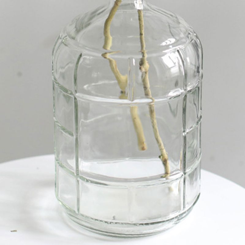 Minimalistička Prozirna Vaza Za Cvijeće Malog Kalibra Veliko Tijelo Stolni Ukras Za Kućanstvo Staklena Boca