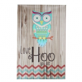 Neuokvireni Otisak Na Platnu Home Decor Love Hoo Owl Zidna Umjetnička Slika Dekoracija Slike
