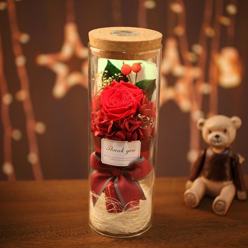 Noćno Svjetlo Dugine Ruže Poklon Za Valentinovo Romantični Ukras Osušeni Cvijet Vječni