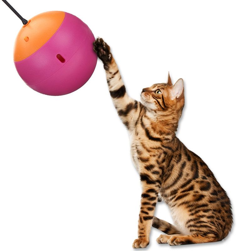 Funny Pet Cat Kitten Igračka Za Igru Električna Rotirajuća Mačka Teaser Za Igračke Za Kućne Ljubimce