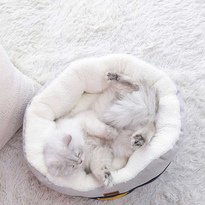 Mačji Kreveti Za Kućne Mačke Perivi Višenamjenski Pijesak Za Sa