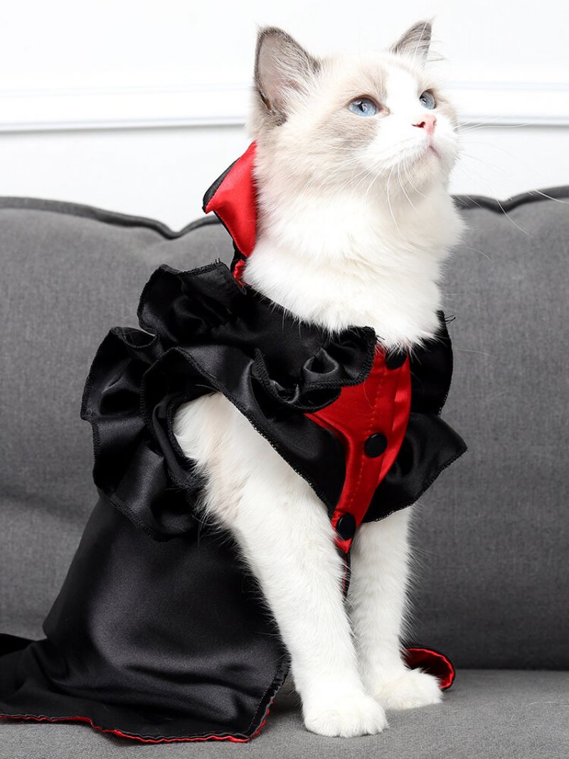 Noć Vještica Ljubimac Vampir Se Transformira U Simulaciju Mačke Lažna Odjeća Božićna Smiješna Za