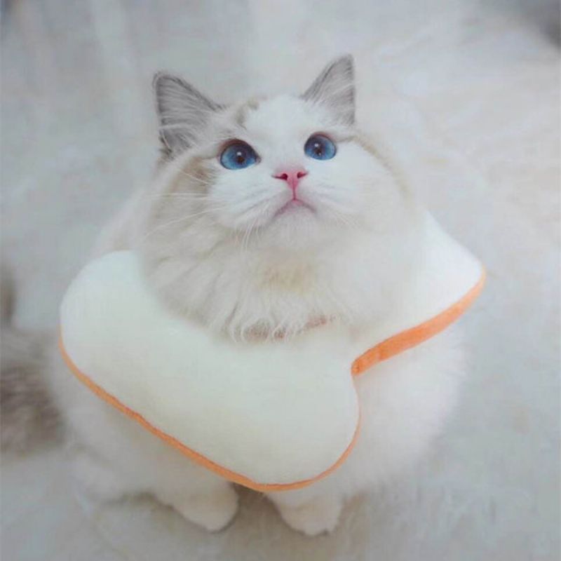 Podesiva Elizabeth Ogrlica Mačji Tost Kruh Ljubimac Prsten Protiv Razbijanja Mačka Ugriza