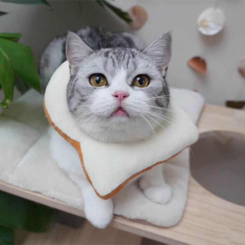 Podesiva Elizabeth Ogrlica Mačji Tost Kruh Ljubimac Prsten Protiv Razbijanja Mačka Ugriza