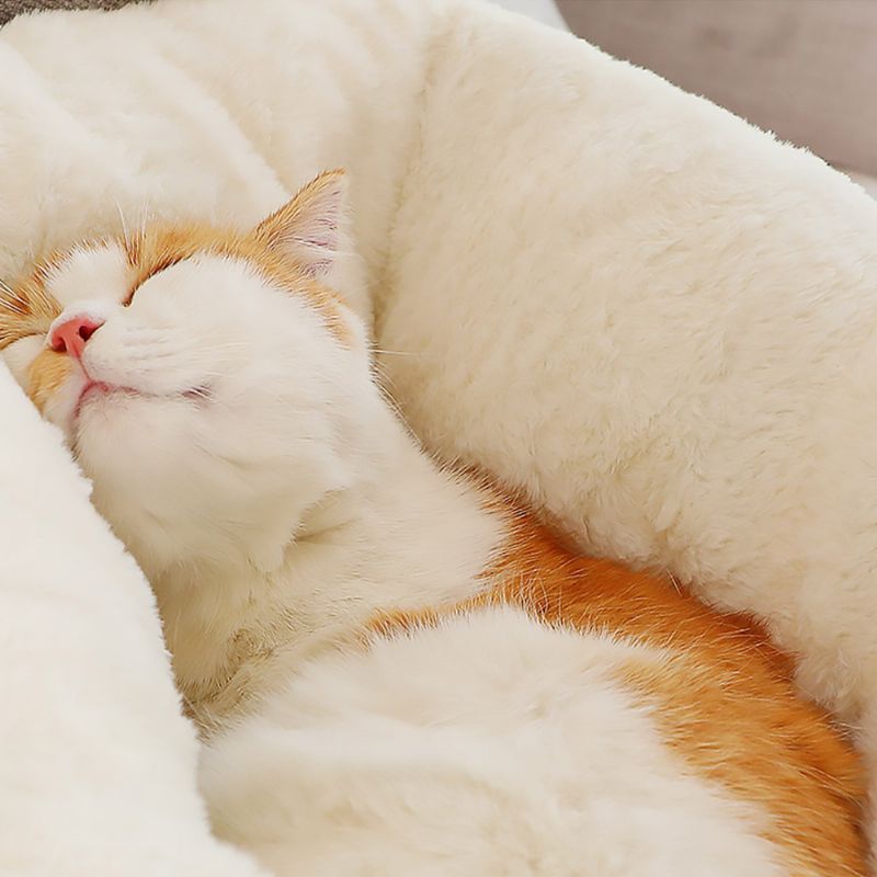 Uklonjive I Perive Vreće Za Spavanje Za Kućne Ljubimce Mačja Soba U Obliku Ušiju S Dizajnom Vezenja