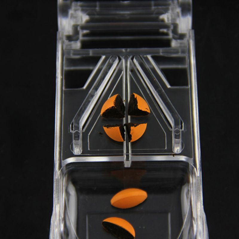 Rezač Pilula Ergonomskog Dizajna Prozirni Razdjelnik Od Nehrđajućeg Čelika Za Precizno Rezanje