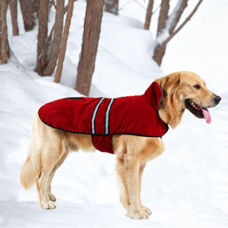 Pas Kućni Ljubimac Na Otvorenom Zimska Vodootporna Kišna Jakna Flis Reflektirajuća Sigurna