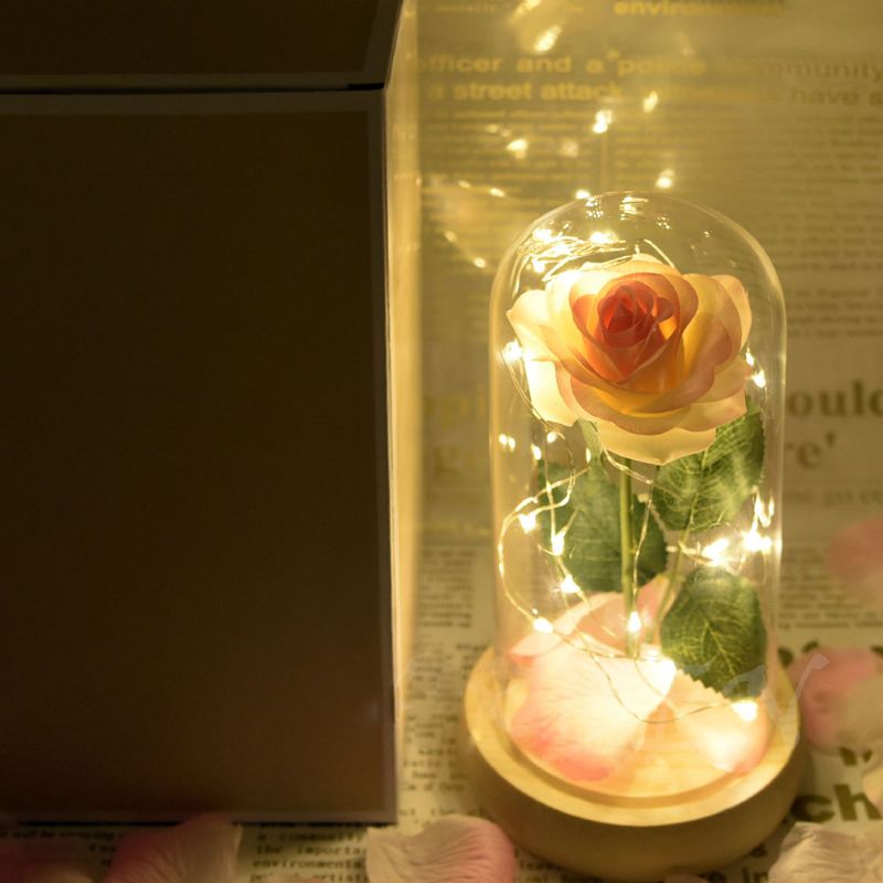 Lampa Od Šampanjskih Ruža S Led Vilinskim Svjetlima Otpalim Laticama I Postoljem Od Abs-a U Staklenoj Kupoli Romantični Darovi Za Valentinovo