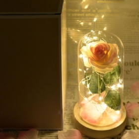 Lampa Od Šampanjskih Ruža S Led Vilinskim Svjetlima Otpalim Laticama I Postoljem Od Abs-a U Staklenoj Kupoli Romantični Darovi Za Valentinovo