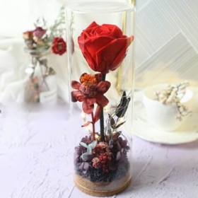 Staklena Boca Vječna Ruža S Led Svjetlom Očuvani Pravi Cvijet Romantični Dar Za Ljubavnika Valentinovo Godišnjica Braka