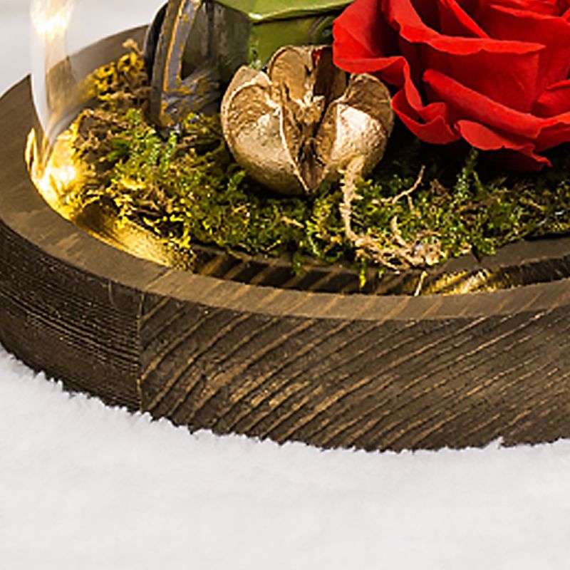 Stakleni Pokrov Dekoracija Očuvano Cvijeće Ruže Medvjedi Sa Svjetlima Darovi Za Godišnjicu Braka Valentinovo