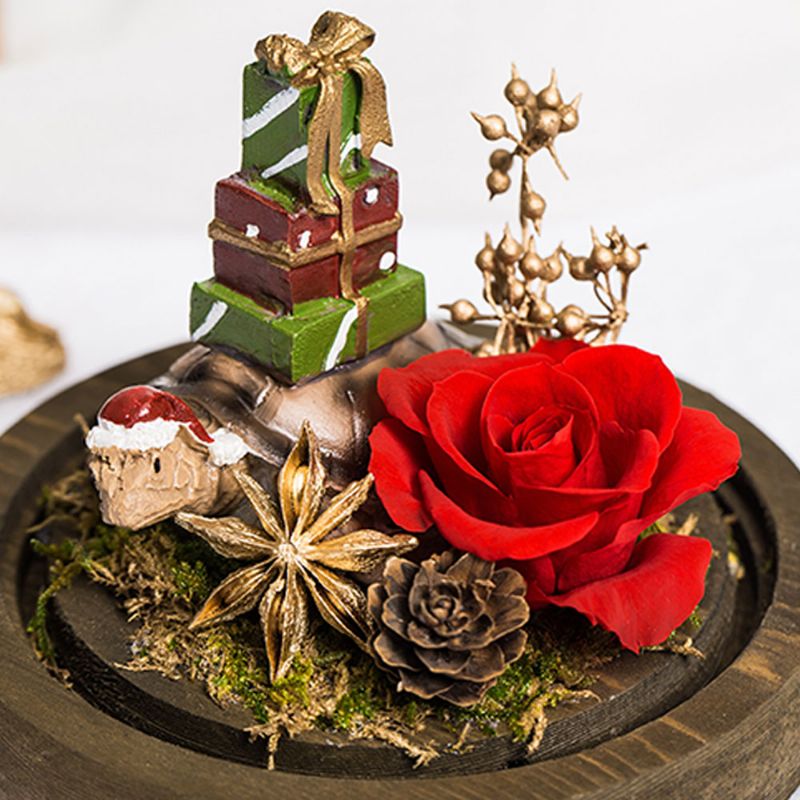 Stakleni Pokrov Dekoracija Očuvano Cvijeće Ruže Medvjedi Sa Svjetlima Darovi Za Godišnjicu Braka Valentinovo