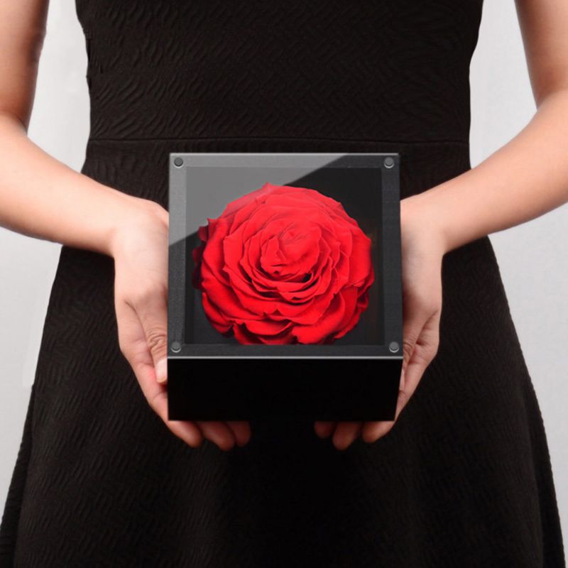 Vječna Ruža S Poklon Kutijom Zauvijek Cvjetajući Cvijet Za Voljene Umjetni Vječni Životni Za Mamu Ljubavnicu Djevojku