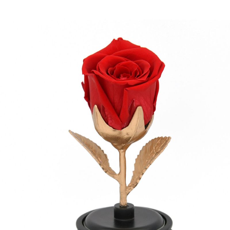 Vječno Cvijeće Svilena Ruža Rotirajuća Glazbena Kutija Sa Čašom Za Ženu Ljubavnicu Djevojku Rođendanski Poklon Za Godišnjicu Vjenčanja