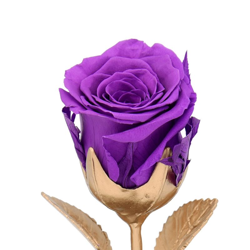 Vječno Cvijeće Svilena Ruža Rotirajuća Glazbena Kutija Sa Čašom Za Ženu Ljubavnicu Djevojku Rođendanski Poklon Za Godišnjicu Vjenčanja