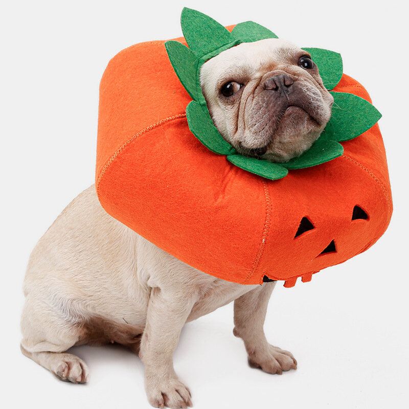 Halloween Pumpkin Dog Dress Up Višenamjenska Ogrlica Za Pse Preobrazbeni Kostim Za Zabavu Za Kućne Ljubimce