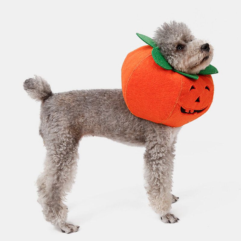 Halloween Pumpkin Dog Dress Up Višenamjenska Ogrlica Za Pse Preobrazbeni Kostim Za Zabavu Za Kućne Ljubimce