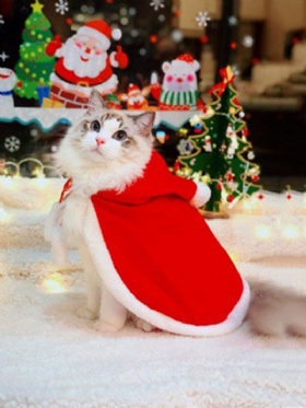 Kreativna Odjeća Za Kućne Ljubimce Božićna Noć Vještica Smiješna Za Mačke Vjetrootporan Ogrtač