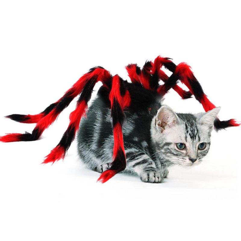 Kućni Ljubimac Halloween Pauk Prsa Natrag Kreativni Kostim Za Transformaciju Pasa Mačka Mali Pas