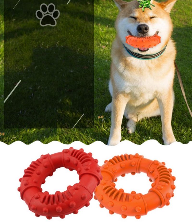 Pet Interactive Dog Toy Molar Bite Ring Dog Toy