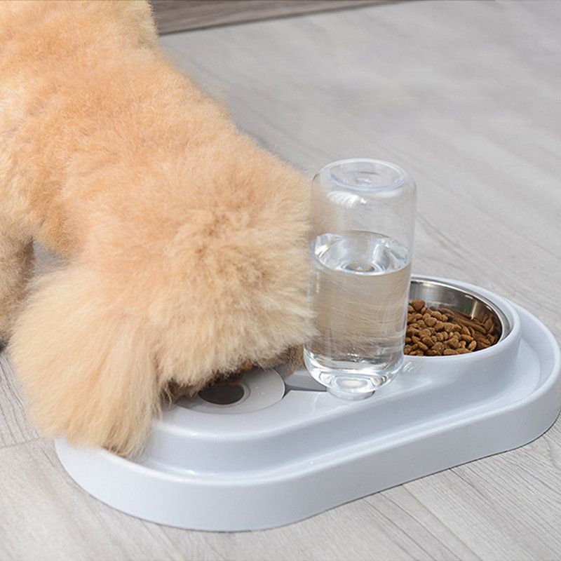 Prsten Za Kućne Ljubimce Automatska Kontinuirana Voda Dupla Zdjela Za Rižu Od Nehrđajućeg Čelika Umivaonik Mačka Pas Univerzalni