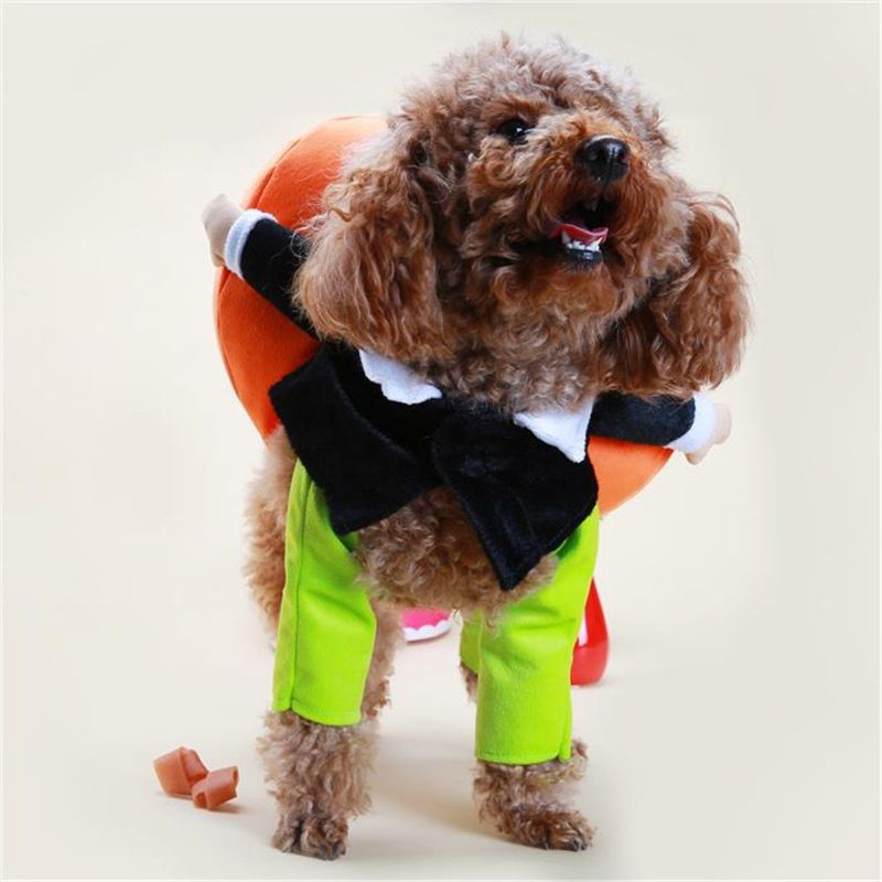 Smiješni Pas Za Kućne Ljubimce Bundeva Pokretna Odijela Odjeća Za Za Zabave Kostim Zimska
