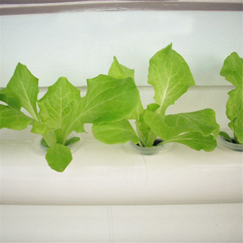 36-rupa-4-sloja-horizontalni-hidroponski-grow-kit-garden-plant-vegetable-planting Grow Box