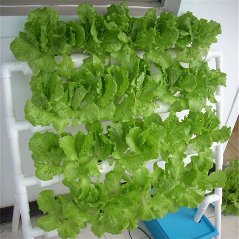 36-rupa-4-sloja-horizontalni-hidroponski-grow-kit-garden-plant-vegetable-planting Grow Box