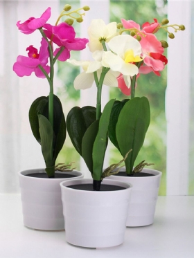 3led Solarni Kolac Za Cvijeće Phalaenopsis Vrtno Svjetlo Za Dvorište Vanjski Dekor Za Krajolik