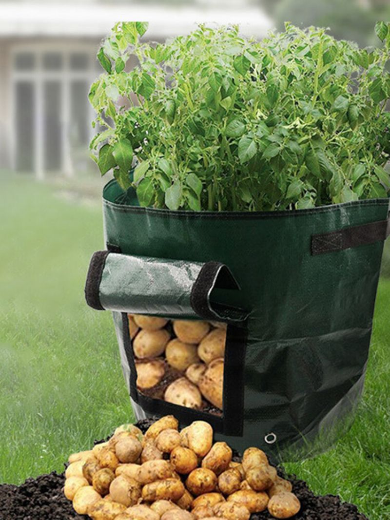 50l Sadilica Velikog Kapaciteta Za Uzgoj Krumpira Pe Kontejner Vrećica Rajčica Povrće Vrt Na Otvorenom